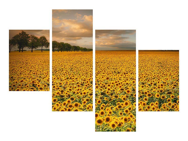 modern-4-piece-canvas-print-sunflowers