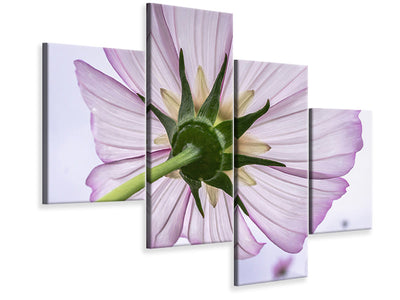 modern-4-piece-canvas-print-the-cosmos-flower