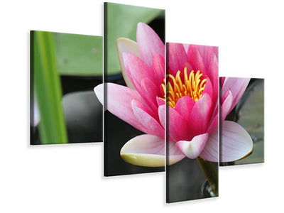 modern-4-piece-canvas-print-the-water-lily-in-pink