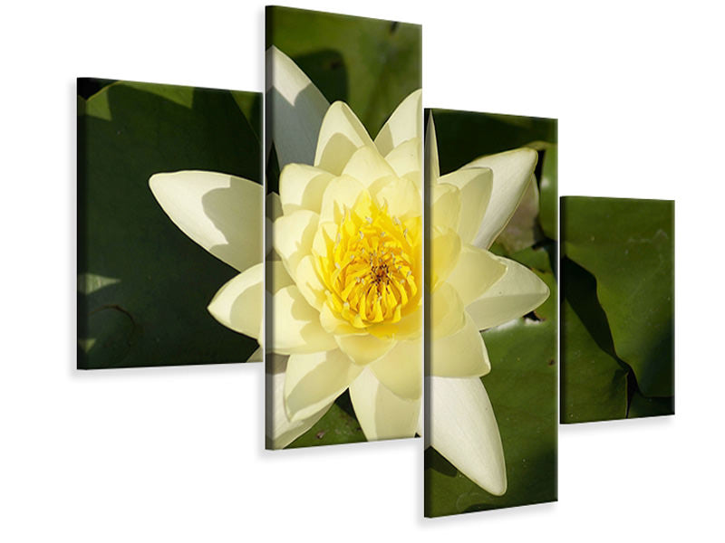 modern-4-piece-canvas-print-the-water-lily-in-yellow