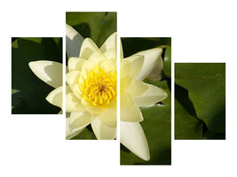 modern-4-piece-canvas-print-the-water-lily-in-yellow