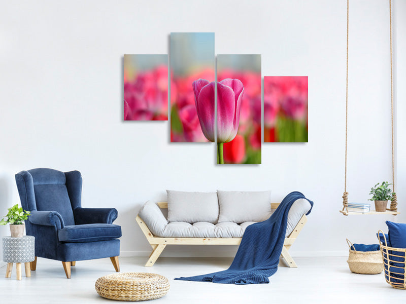 modern-4-piece-canvas-print-tulip-field-in-pink-red