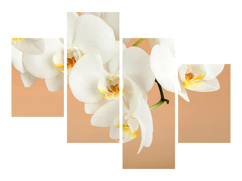 modern-4-piece-canvas-print-white-orchid-flowers