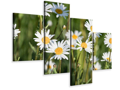 modern-4-piece-canvas-print-xl-daisies