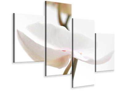 modern-4-piece-canvas-print-xxl-orchid-flower