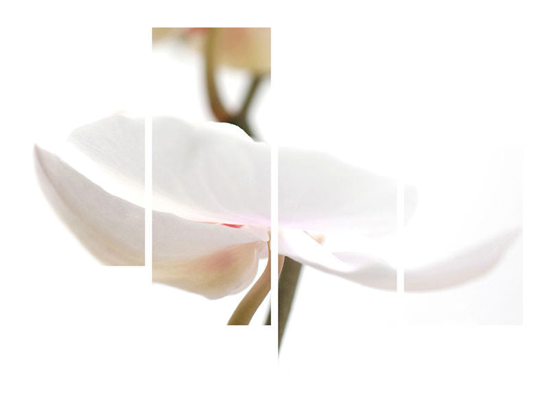 modern-4-piece-canvas-print-xxl-orchid-flower
