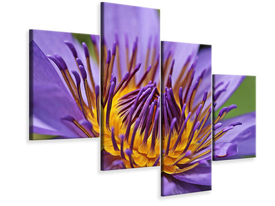 modern-4-piece-canvas-print-xxl-water-lily-in-purple