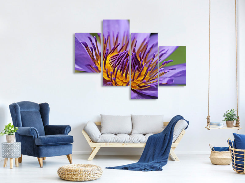 modern-4-piece-canvas-print-xxl-water-lily-in-purple