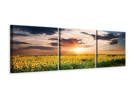 panoramic-3-piece-canvas-print-a-field-of-sunflowers