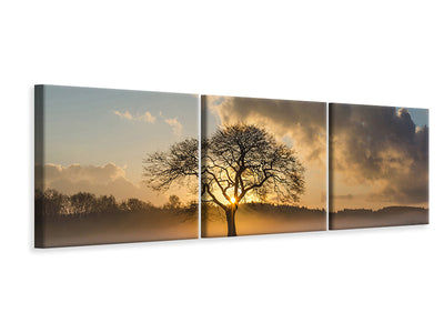 panoramic-3-piece-canvas-print-a-lonely-tree