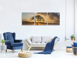 panoramic-3-piece-canvas-print-a-lonely-tree