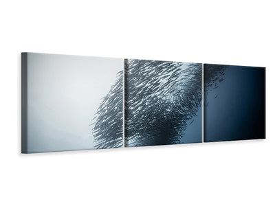 panoramic-3-piece-canvas-print-absolute-dominance