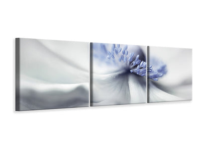 panoramic-3-piece-canvas-print-anemone-spirit