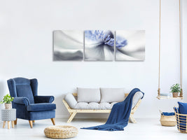 panoramic-3-piece-canvas-print-anemone-spirit