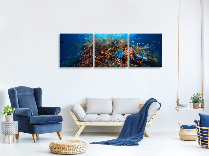 panoramic-3-piece-canvas-print-apnea