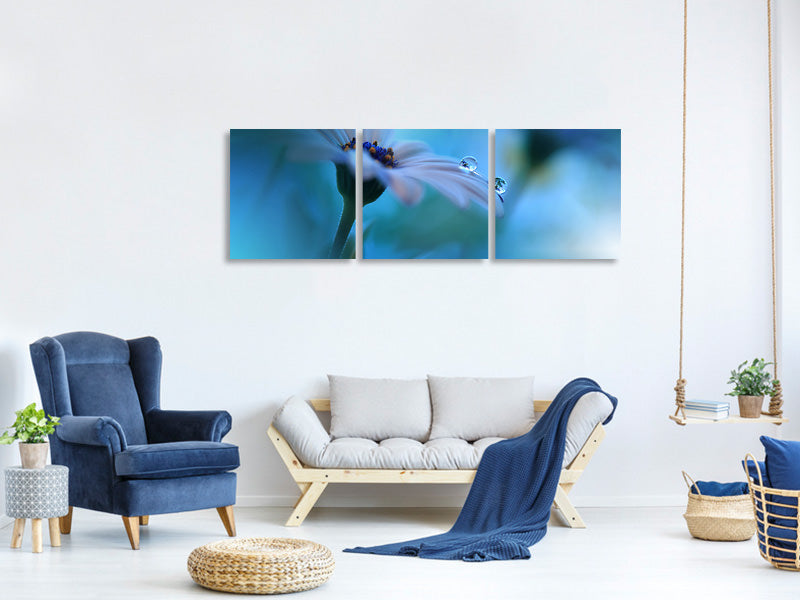 panoramic-3-piece-canvas-print-beyond-the-visible