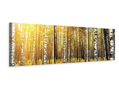 panoramic-3-piece-canvas-print-birch-forest