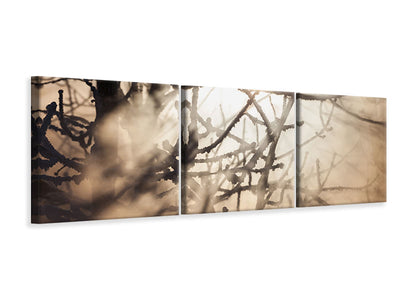 panoramic-3-piece-canvas-print-branches-in-fog-light