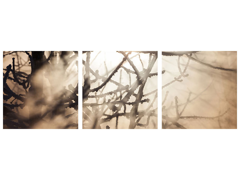 panoramic-3-piece-canvas-print-branches-in-fog-light
