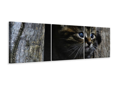 panoramic-3-piece-canvas-print-cats-child