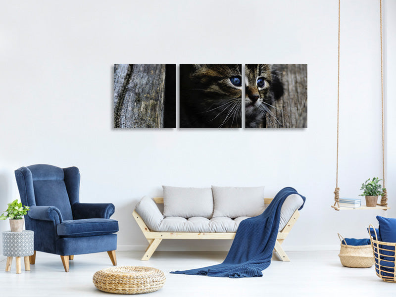 panoramic-3-piece-canvas-print-cats-child