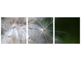 panoramic-3-piece-canvas-print-close-up-flowers-fibers