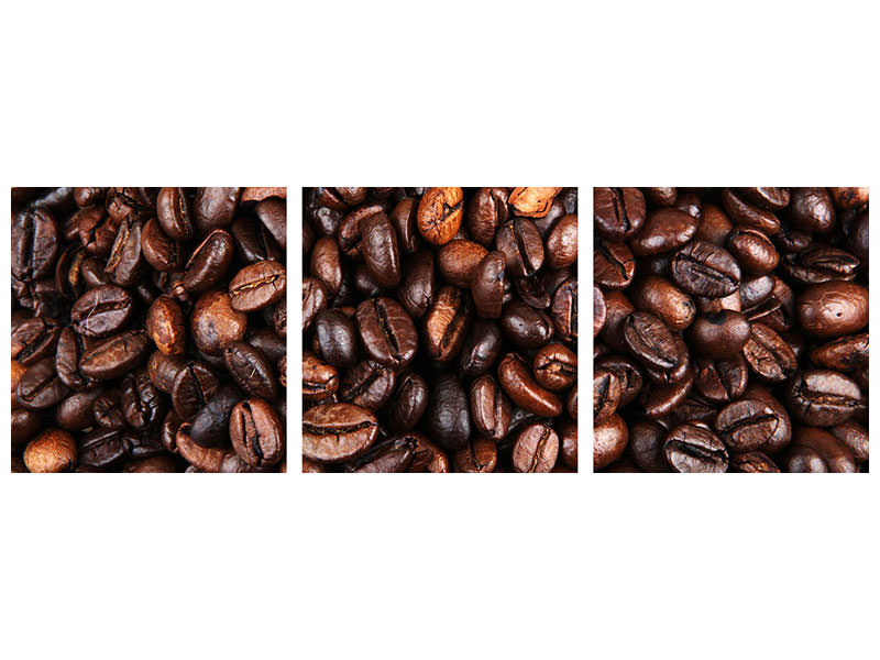 panoramic-3-piece-canvas-print-coffee-beans-in-xxl