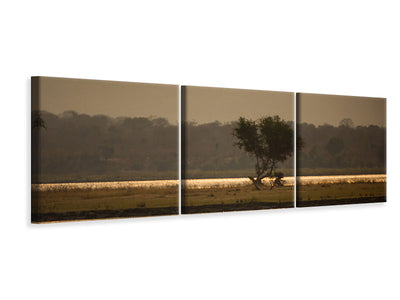 panoramic-3-piece-canvas-print-elephant-alone-in-the-steppe