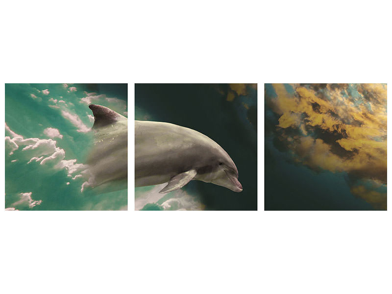 panoramic-3-piece-canvas-print-fascination-dolphin