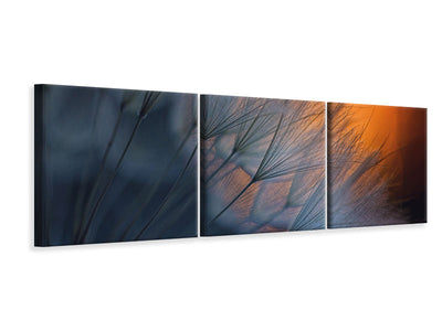 panoramic-3-piece-canvas-print-feathers-p