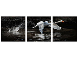 panoramic-3-piece-canvas-print-flying-swan