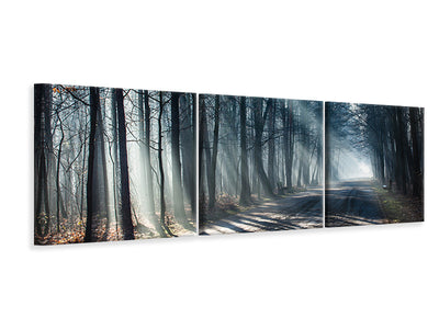 panoramic-3-piece-canvas-print-forest-in-the-light-beam