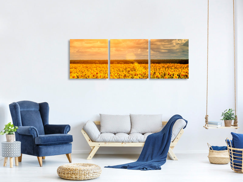 panoramic-3-piece-canvas-print-golden-light-sunflower