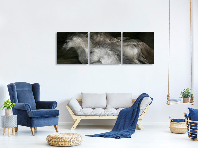 panoramic-3-piece-canvas-print-into-the-dark