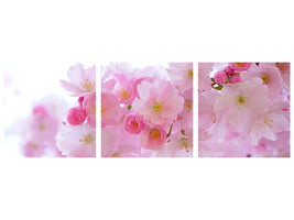 panoramic-3-piece-canvas-print-japanese-cherry-blossom-xl