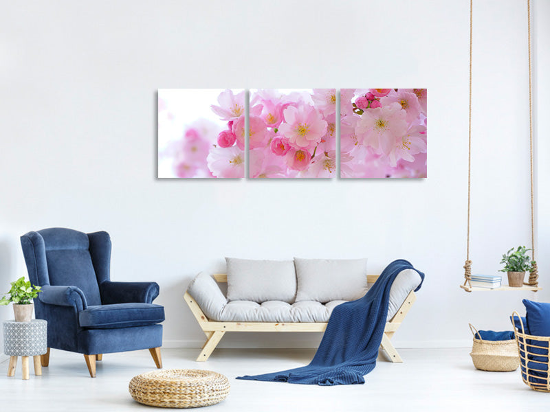 panoramic-3-piece-canvas-print-japanese-cherry-blossom-xl