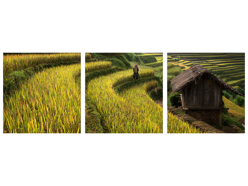 panoramic-3-piece-canvas-print-keep-walking