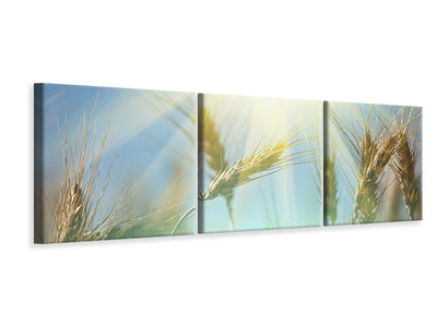 panoramic-3-piece-canvas-print-king-of-cereals
