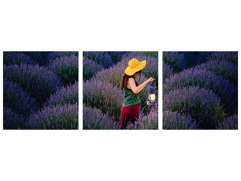 panoramic-3-piece-canvas-print-lavender