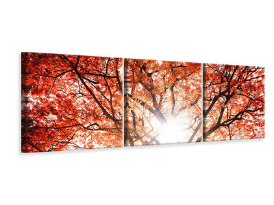 panoramic-3-piece-canvas-print-light-of-autumn