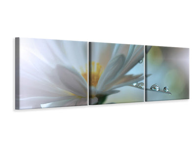 panoramic-3-piece-canvas-print-light-touch