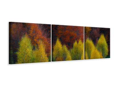 panoramic-3-piece-canvas-print-nimbrethil