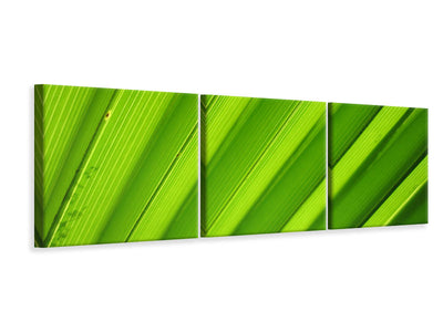 panoramic-3-piece-canvas-print-palm-stripes-ii