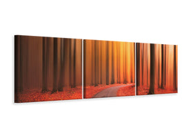 panoramic-3-piece-canvas-print-path-to-unknown