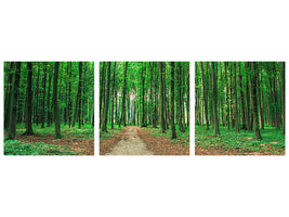 panoramic-3-piece-canvas-print-pine-forests