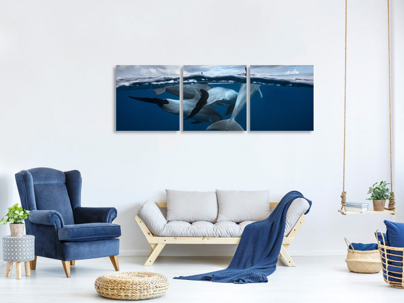 panoramic-3-piece-canvas-print-pod-of-dolphin-at-the-surface