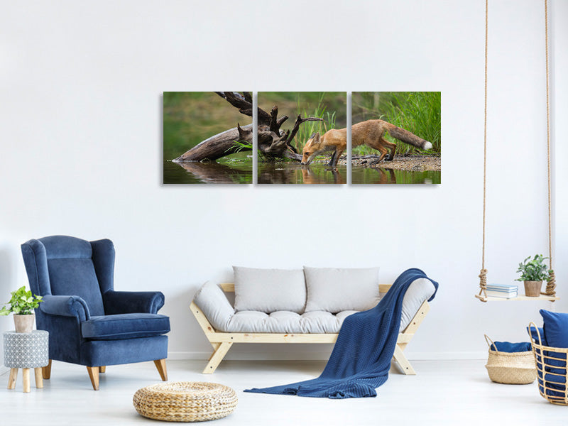 panoramic-3-piece-canvas-print-red-fox-ii