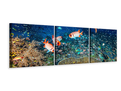 panoramic-3-piece-canvas-print-reef-lifeii