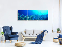 panoramic-3-piece-canvas-print-shoal-of-fish