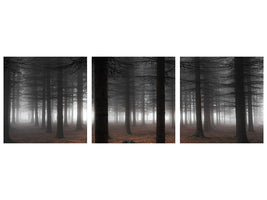 panoramic-3-piece-canvas-print-silence-ii